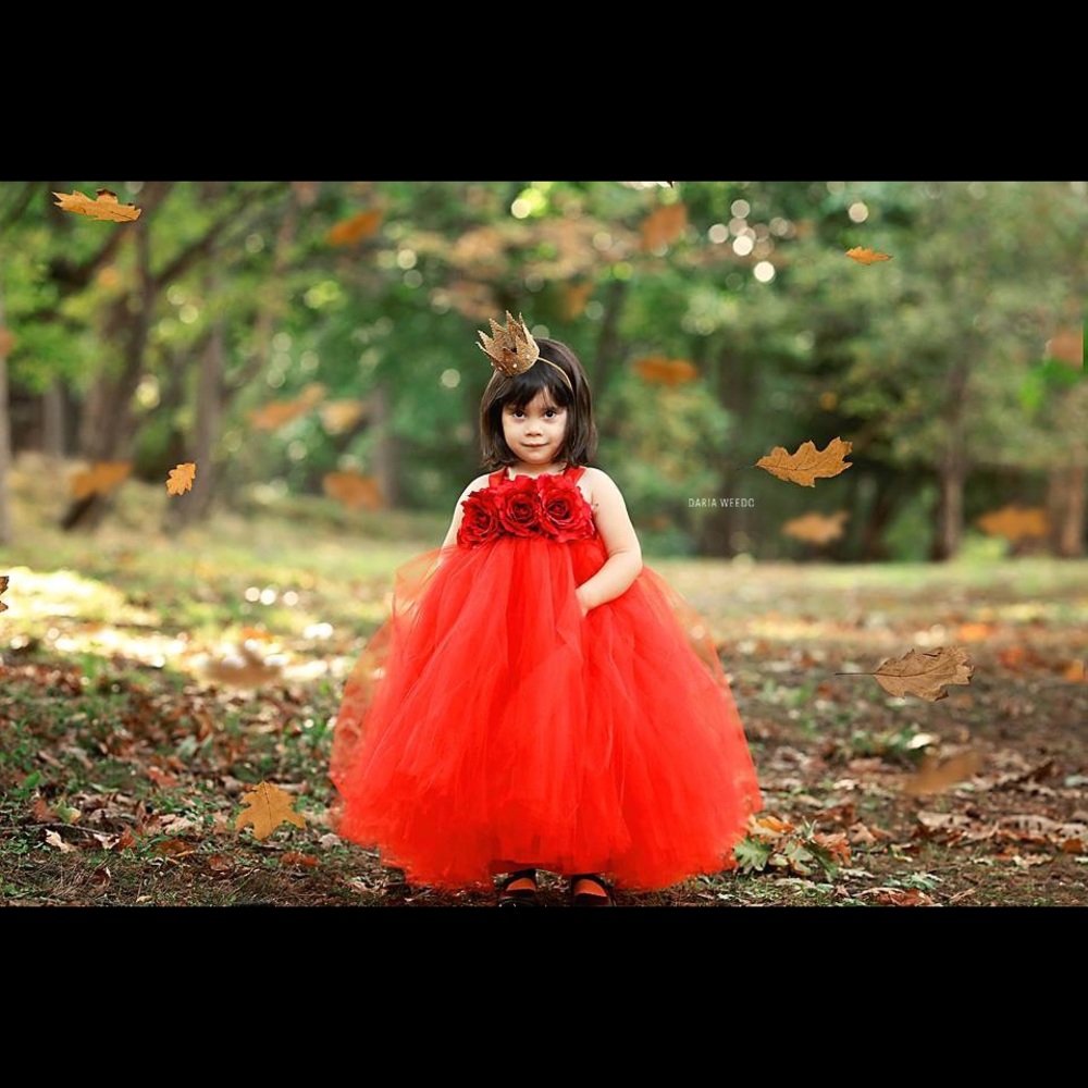 Stunning Toddler Red Gown